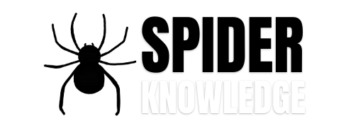 Spider Knowledge