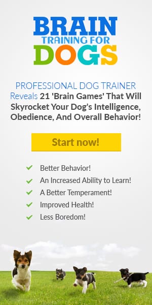 field-dogs-300x600 Affiliate link of Brain training for dogs