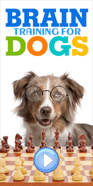 Affiliate link of Brain training for dogs