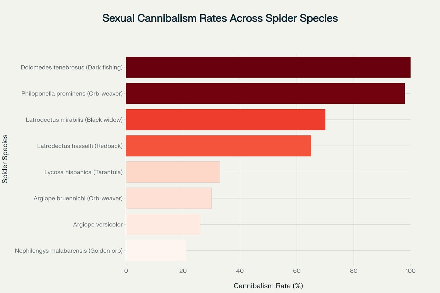 sexual cannibalism rates across spider species chart sexual cannibalism rates across spider species chart