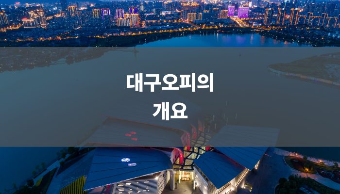 대구오피의 개요