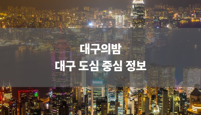 대구의밤 – 대구 도심 중심 정보